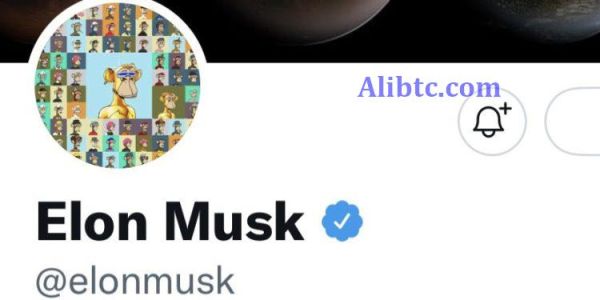 马斯克换BAYC头像、嘲讽NFT可被替代！APE涨超20%后跌14%