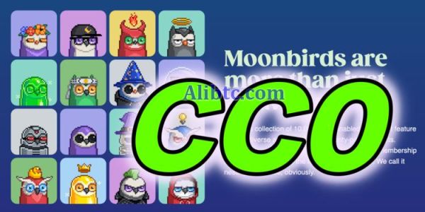 Moonbirds改CC0无版权 地板价大跌16%！持有者：扼杀买家权利