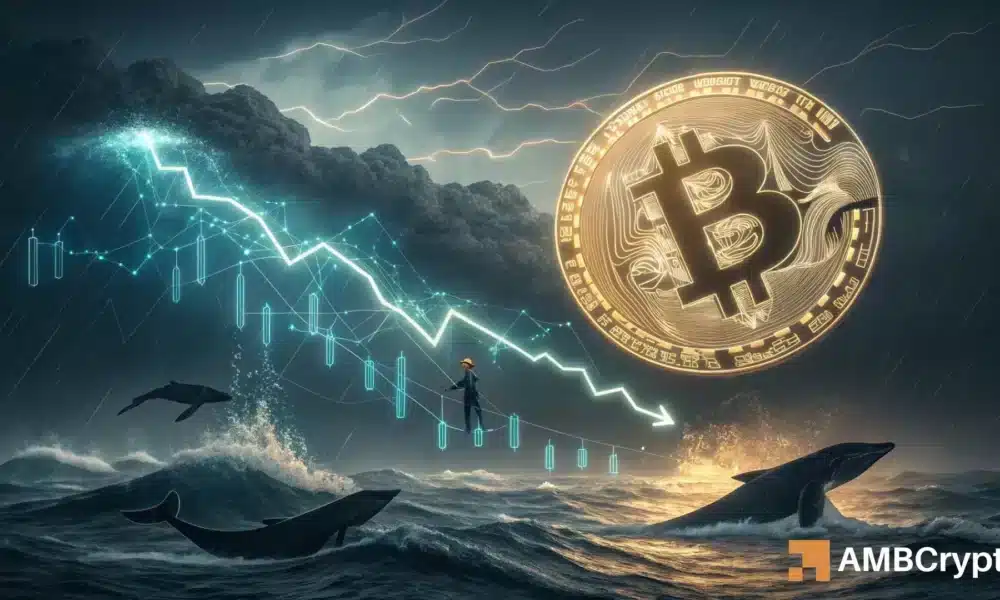 比特币：该指标反映了 2024 年的牛市——历史会重演吗？