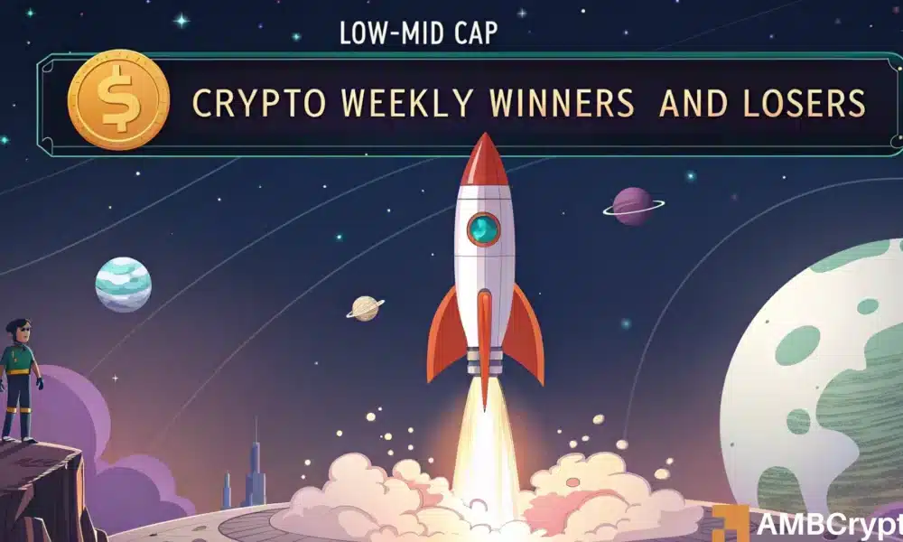 加密货币市场的每周赢家和输家——XCN、WIF、PI、OP