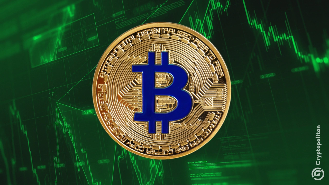 比特币重回 105,000 美元，距离历史新高仅 3.5%