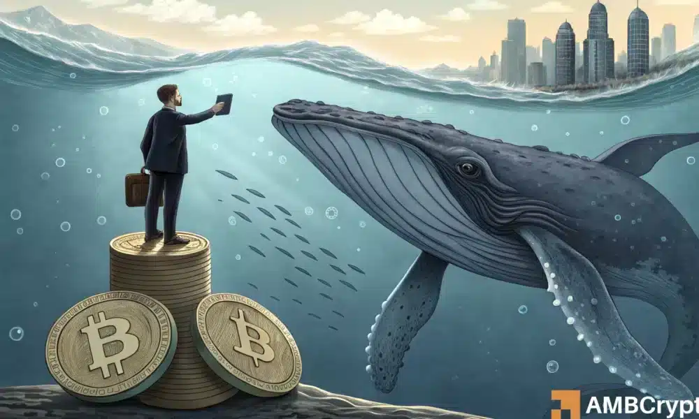 比特币落后，股市飙升——值得关注的新市场现实！