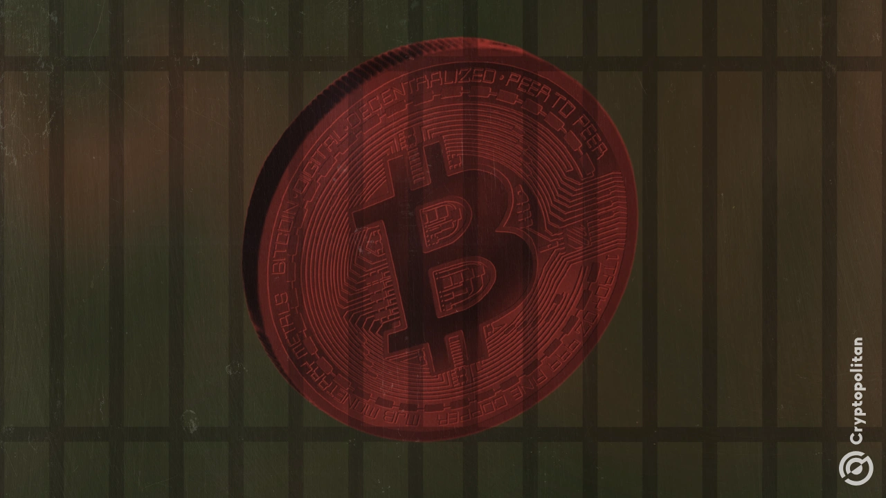 法新社在网络犯罪调查中查获比特币、豪车和豪宅