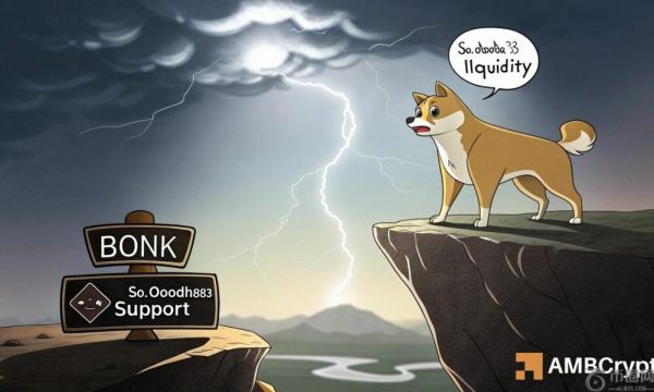 BONK 连续 4 天下跌 – 谨慎的多头能否扭转局势？