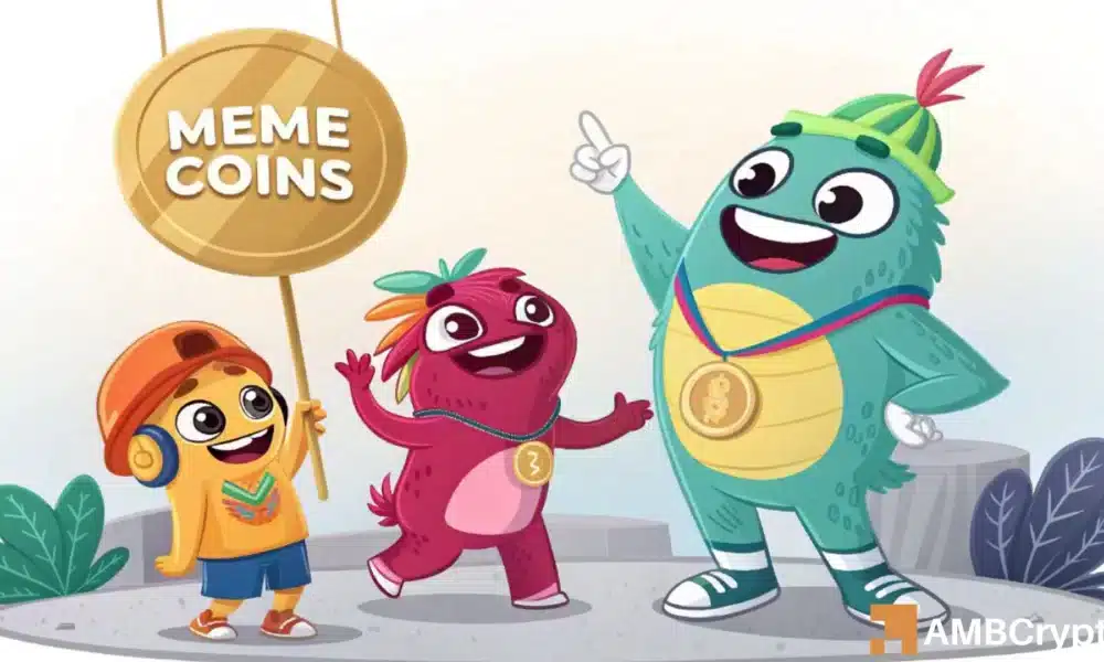 模因币今日为何下跌？BONK、FLOKI、FARTCOIN 成为焦点