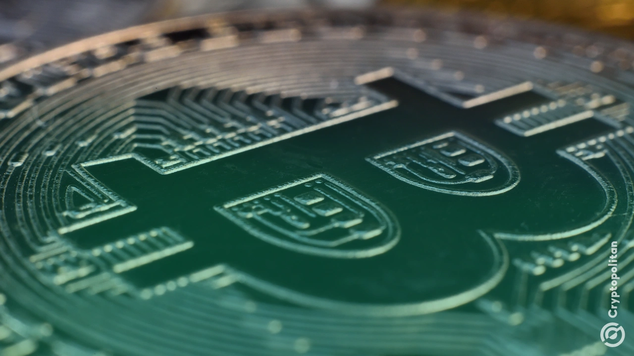 比特币国库——真正的加密需求还是营销技巧？