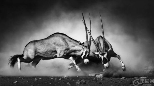 首届SEC加密货币圆桌会议精彩纷呈。