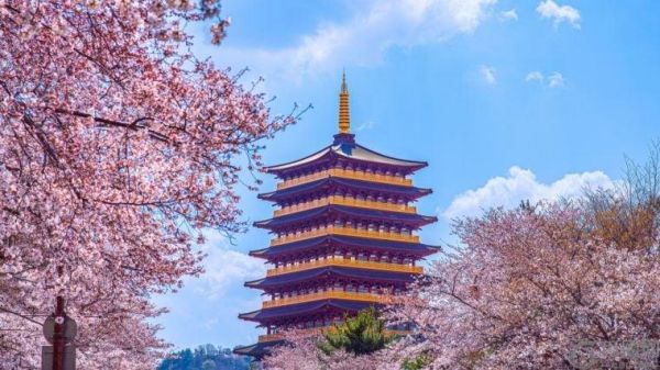 韩国将开展中央银行数字货币（CBDC）试点，参与者包括10万名用户和7家银行。