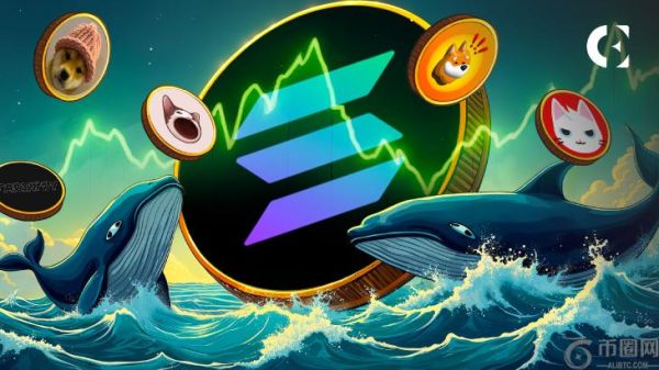 鲸鱼投资 586 万美元后通过 Solana Meme Coins 获利 65.8 万美元：具体方法如下