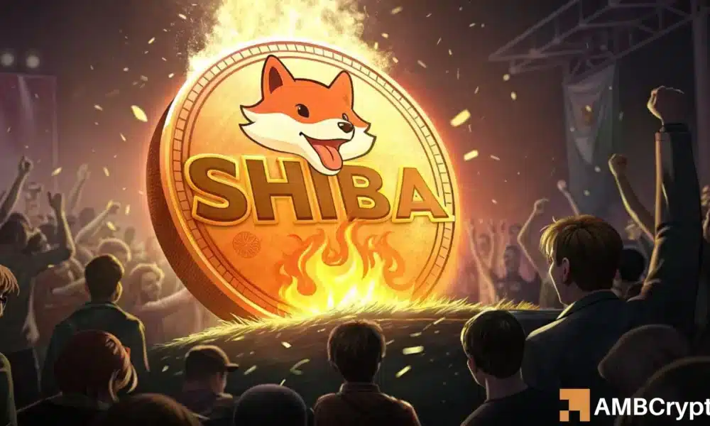 24 小时内烧毁 3,333,333 个 SHIB – 巧合还是隐藏信号？