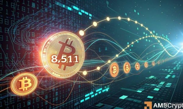 比特币：8,511 BTC 已转移到链上：LTH 试图向我们展示什么