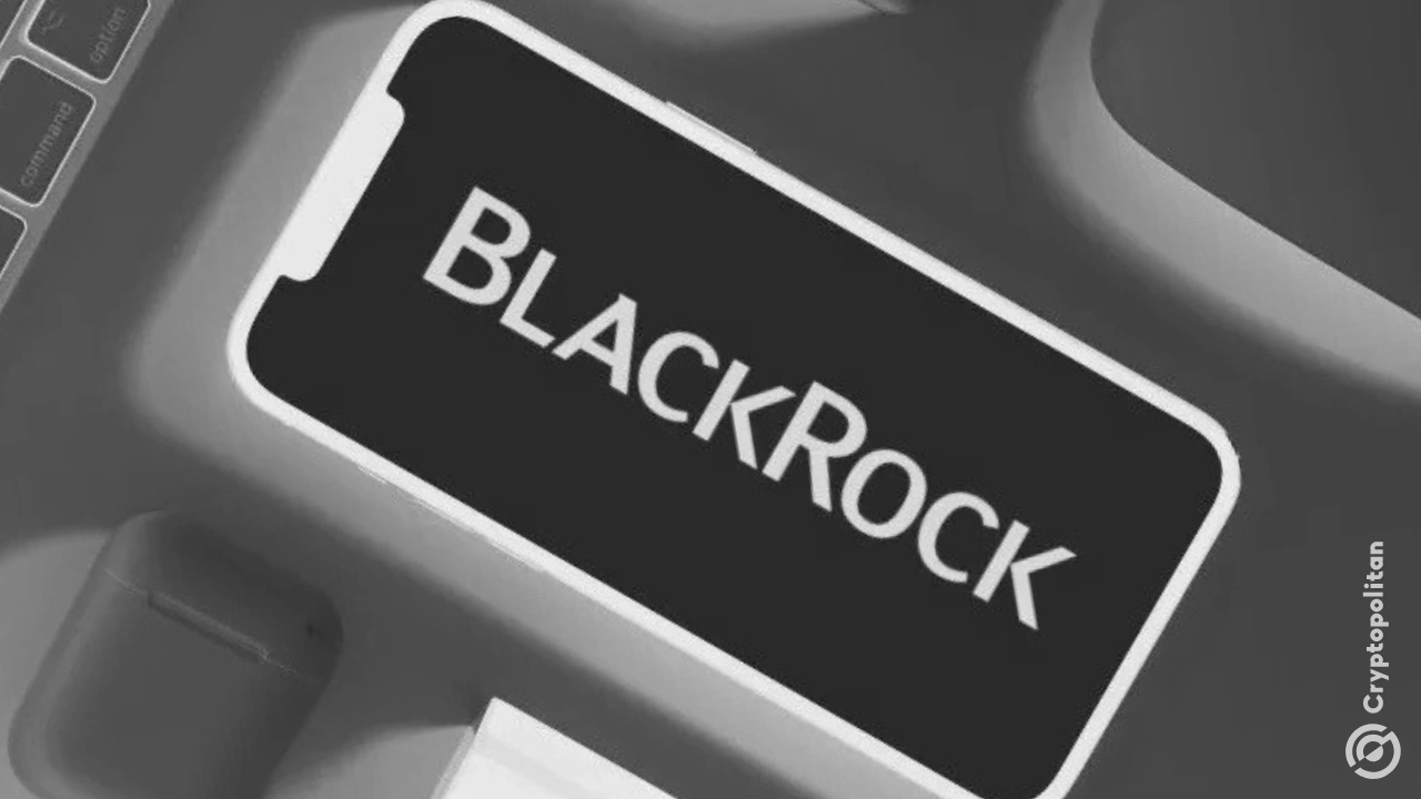 贝莱德加倍押注人工智能股票，建立 1600 亿美元模型投资组合