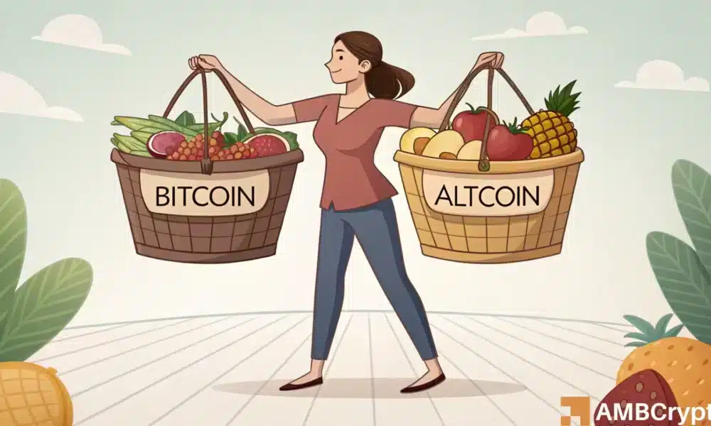 比特币独自攀升，没有山寨币——交易者风险警报！