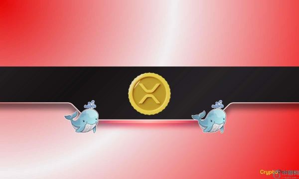 由于瑞波币鲸鱼抛售代币，XRP 价格突然下跌 5%