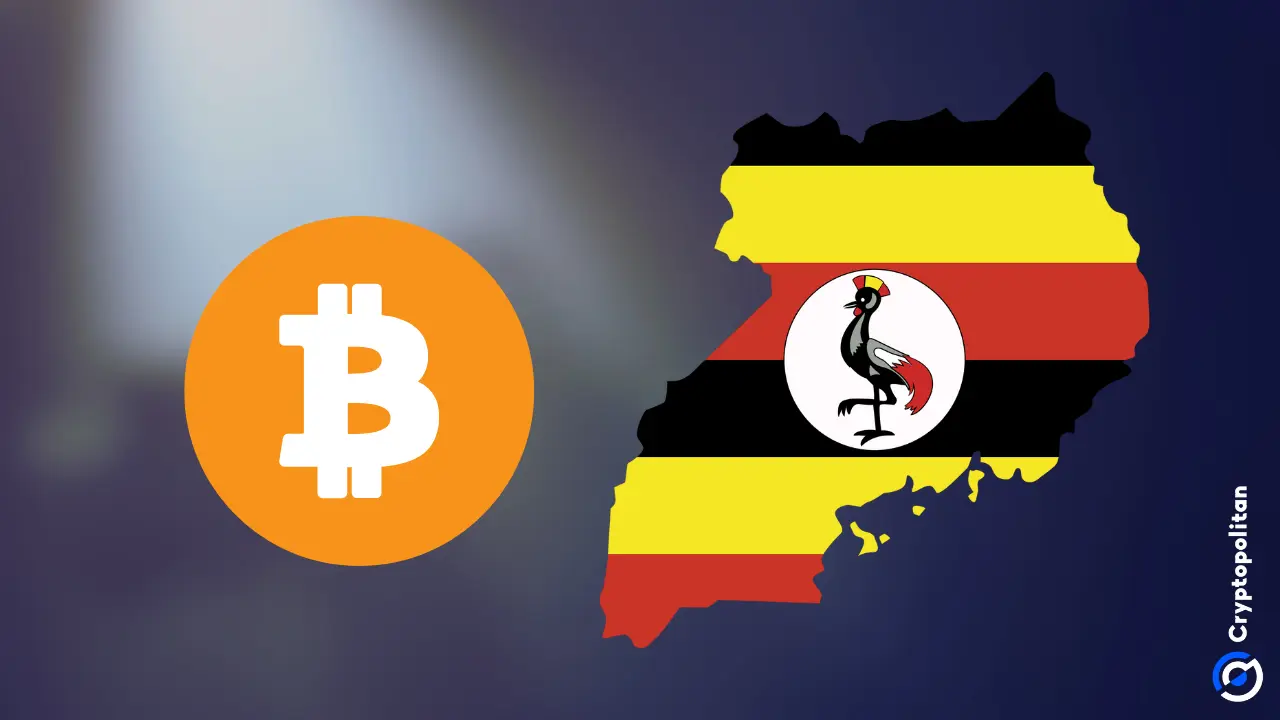 又一位加密货币创始人在乌干达被绑架，被枪口胁迫汇出 50 万美元加密货币