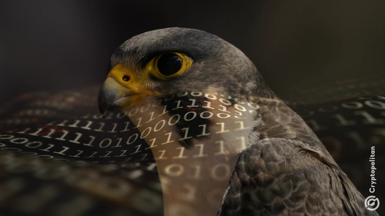 阿联酋押注 Falcon Arabian AI 挑战 Meta 和阿里巴巴