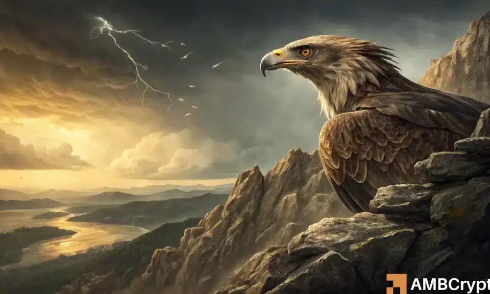 TRUMP 代币价格预测——评估 14.5 美元水平如何以及为何会下跌