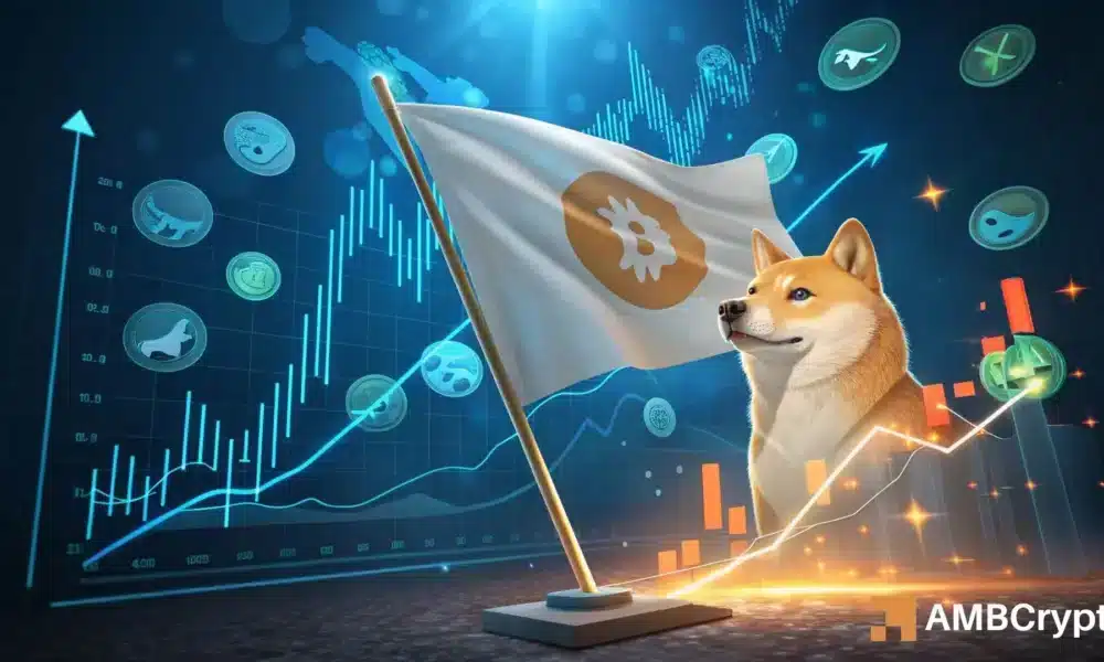 狗狗币：这种模式如何为 0.30 美元的价格变动奠定基础