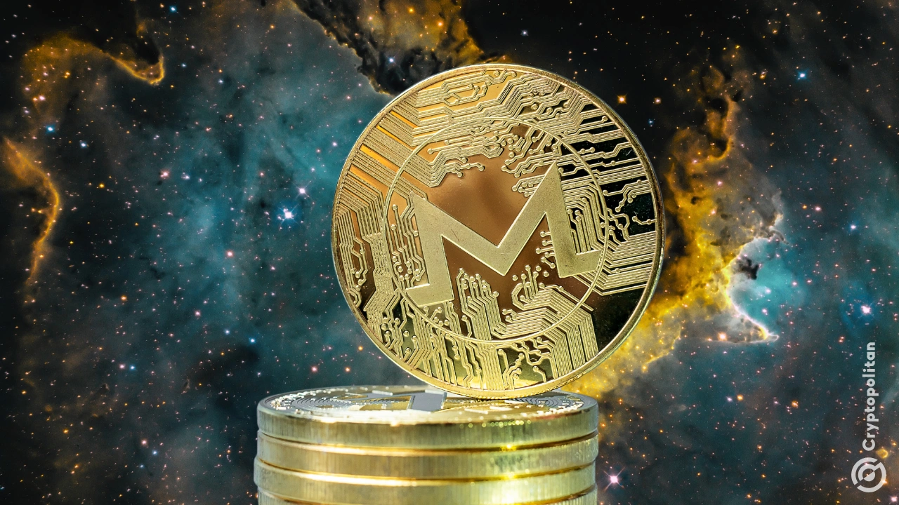 随着需求缓慢回升，XMR 将在 2025 年创下新高