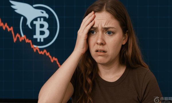 Hawk Tuah Girl 通过加密货币赚了多少钱？