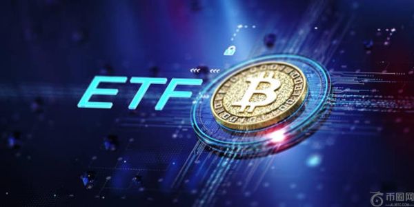 VanEck 高管抨击美国证券交易委员会推迟比特币 ETF 期权审批 - 详情