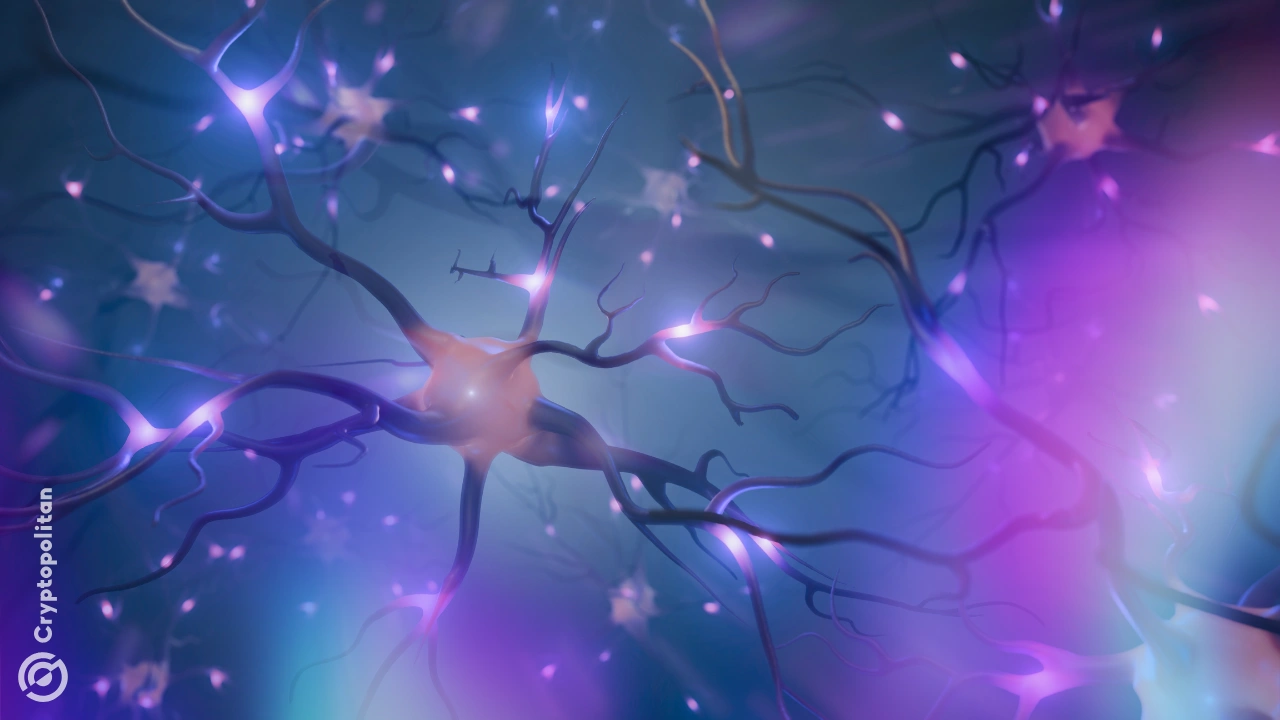 Valve 的 Starfish 将于今年推出一款新的大脑芯片