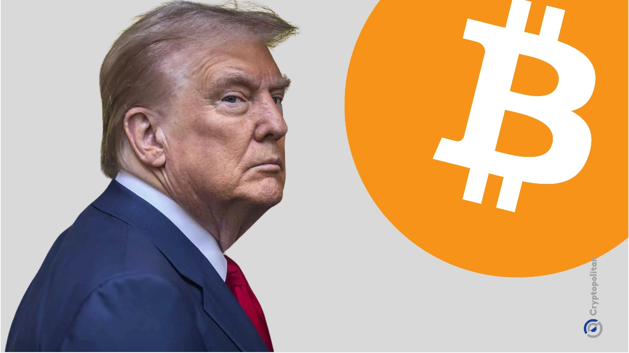 特朗普的表情包币晚宴被称作一场灾难，食物糟糕，安保薄弱