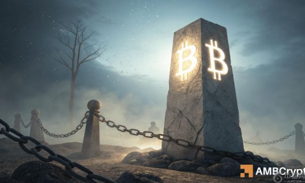 比特币上涨趋势有望达到 11.4 万美元——支撑 BTC 上涨的两个关键因素