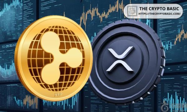 报告：Ripple 和 XRP 的采用对于实现 G20 跨境支付目标至关重要