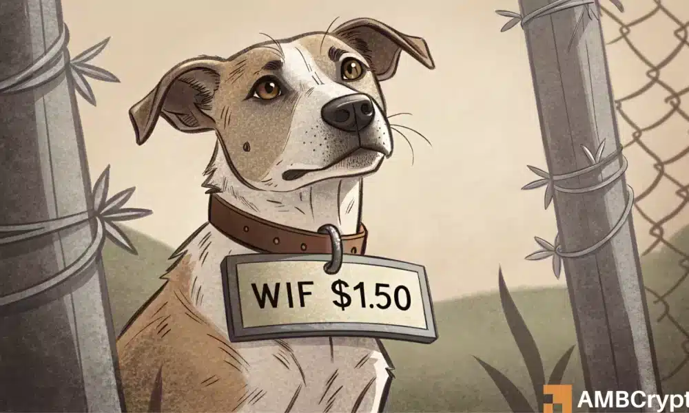 dogwifhat：鲸鱼增多，散户衰退——你应该买入 WIF 的低价股吗？