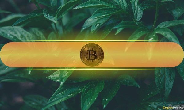 特朗普推迟对欧盟征收关税，比特币价格逼近 11 万美元，加密货币市场反弹