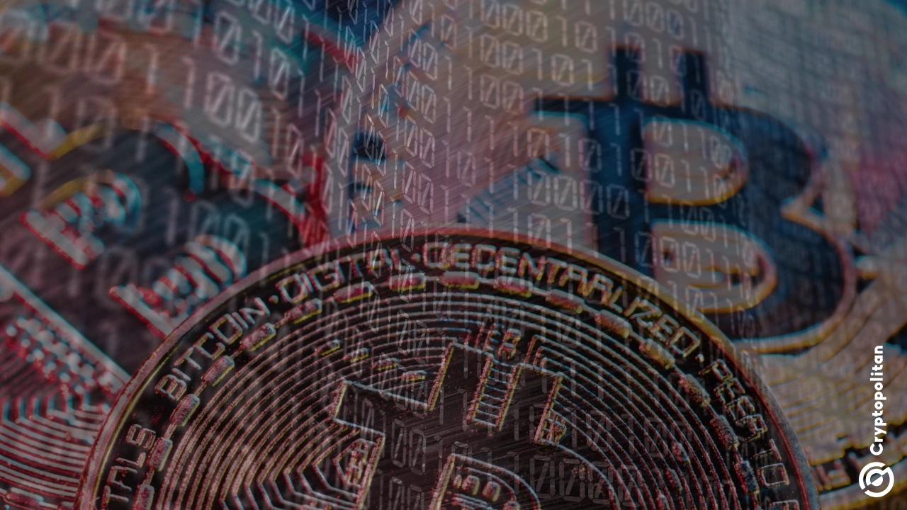 受害者两次遭遇复制粘贴诈骗，损失 250 万美元