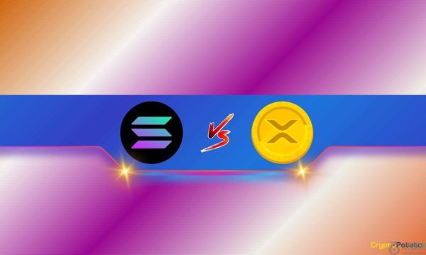 Ripple (XRP) 还是 Solana (SOL)？资深交易员想知道哪个更有投资潜力