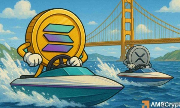 Solana 可能反弹至 500 美元以上——评估 Peter Brandt 的预测