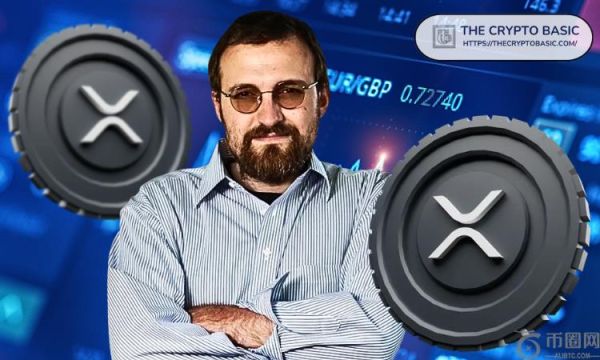 Cardano 创始人表示 RLUSD 可能加入 ADA，但战略取决于 Circle 的收购