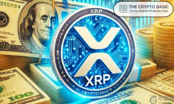 1000 万美元的 XRP 如何随着时间的推移带来回报