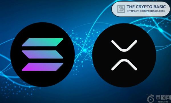 XRP 还是 Solana？Brandt 询问 10 万美元投资哪个更划算