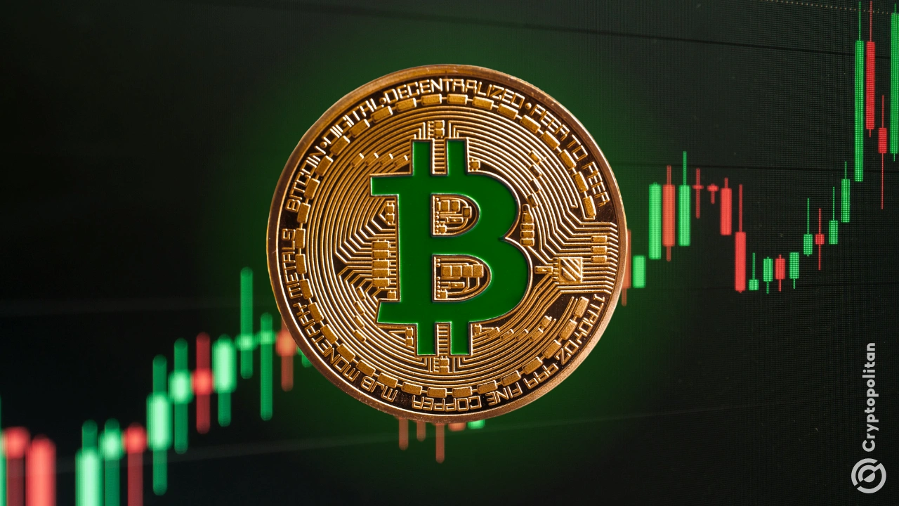 长期比特币持有者预示着潜在的看涨势头