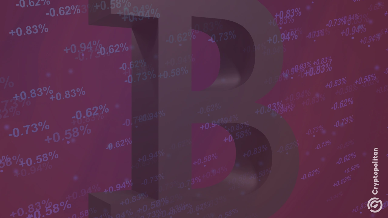 风险交易员詹姆斯·永利 (James Wynn) 与阿拉米达研究公司 (Alameda Research) 有关联吗？