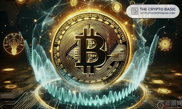 如果全世界都了解比特币，那么它的价格现在应该会达到 1000 万美元：Samson Mow