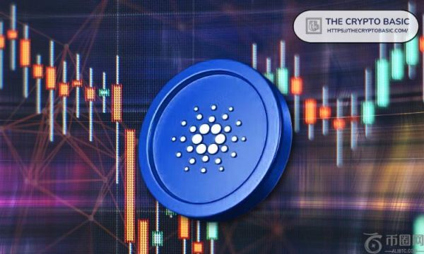 加密货币专家 Alex Becker 表示，Cardano 在本周期可能胜过 Solana