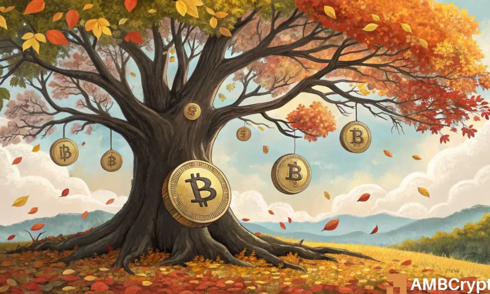 分析比特币的市场周期：为什么 2025 年秋季可能标志着下一个高峰