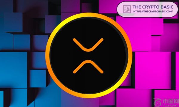 XRP 采用率与 1992 年互联网水平相当，专家称我们仍处于早期阶段