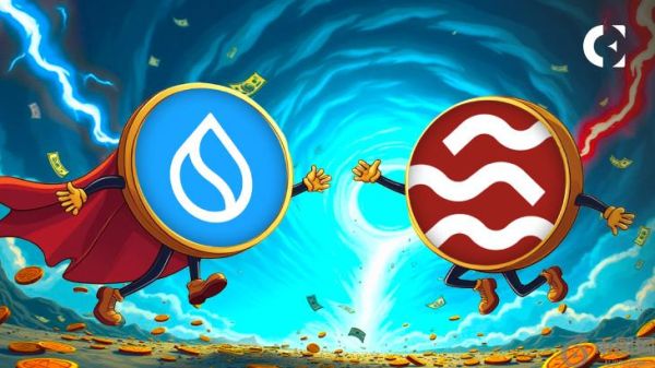 一个快，一个大：SUI 与 SEI 对比