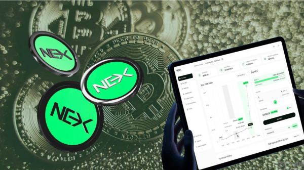 XRP价格观察：盘整还是崩盘？与此同时，Nexchain预售300万美元，价格飙升