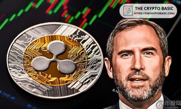 Ripple 首席执行官表示比特币和 XRP 社区有更多共同点