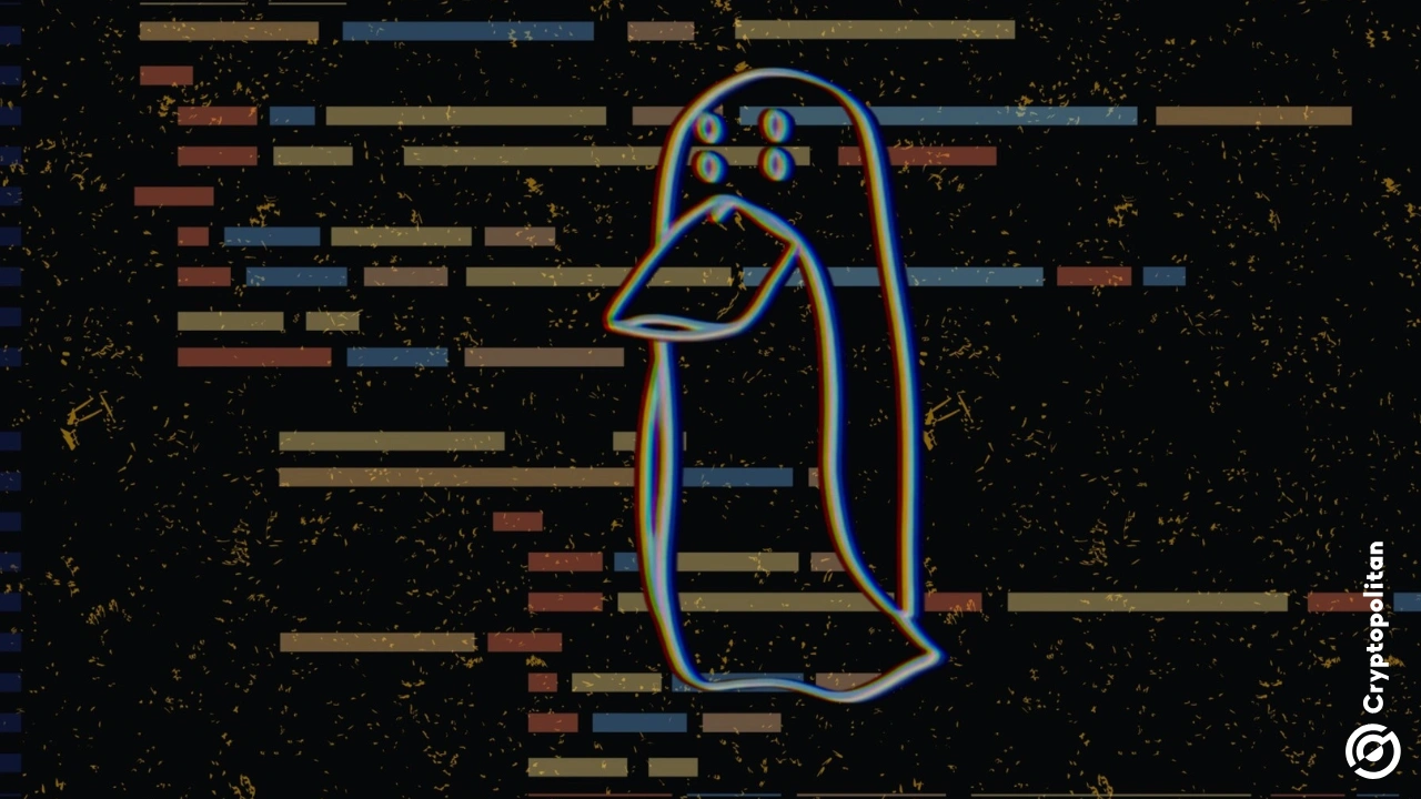 ZachXBT 反驳 James Wynn 关于以他的名字发行代币的说法