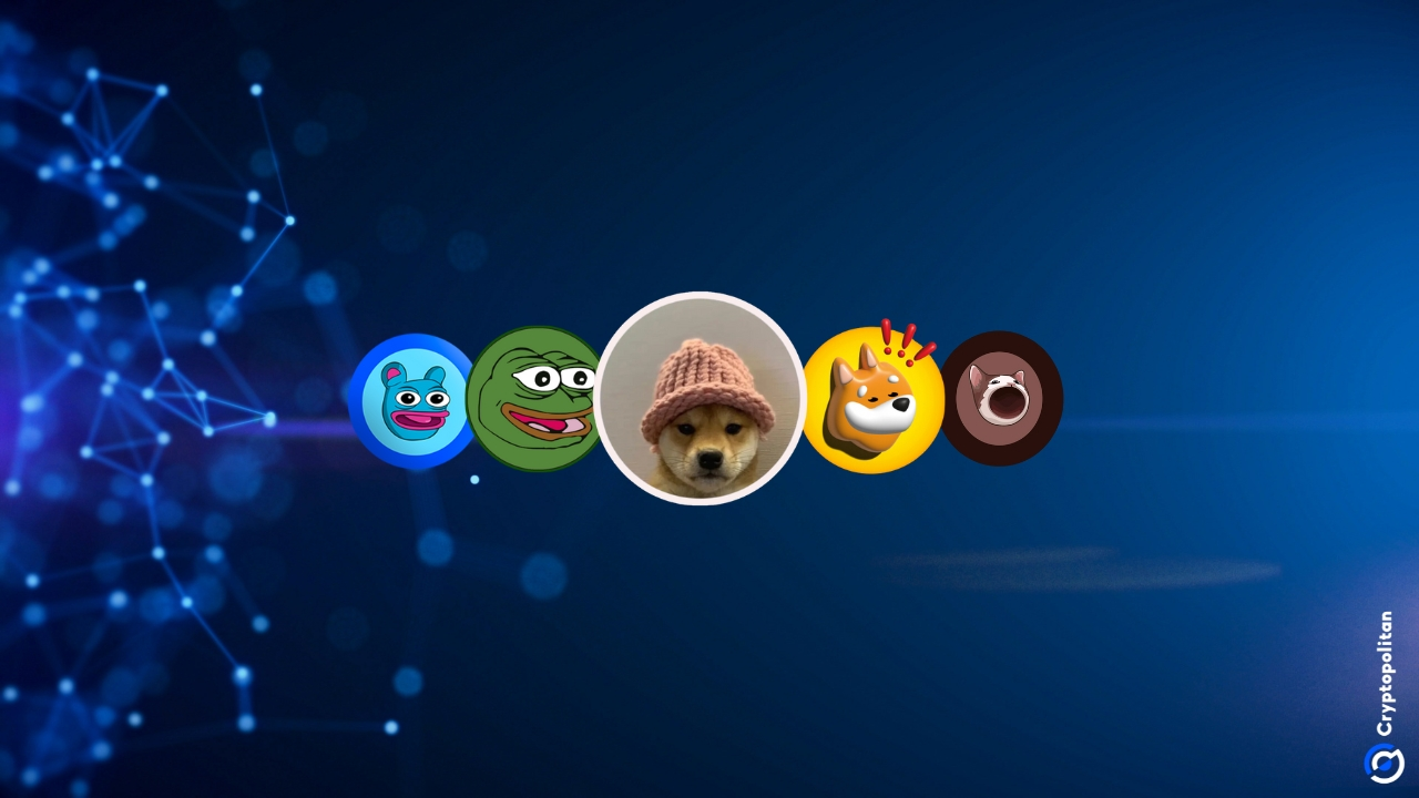 31% 的美国投资者在购买比特币之前购买 meme 币