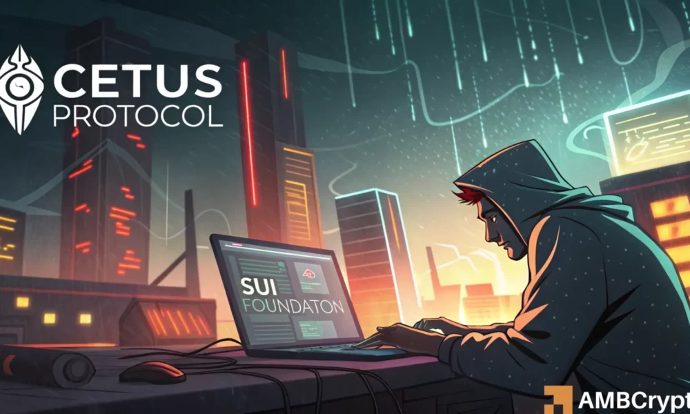 Cetus 的开发：Sui 基金会的“100% 恢复”计划包括……