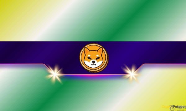 分析师称，了解柴犬（SHIB）你就能成功